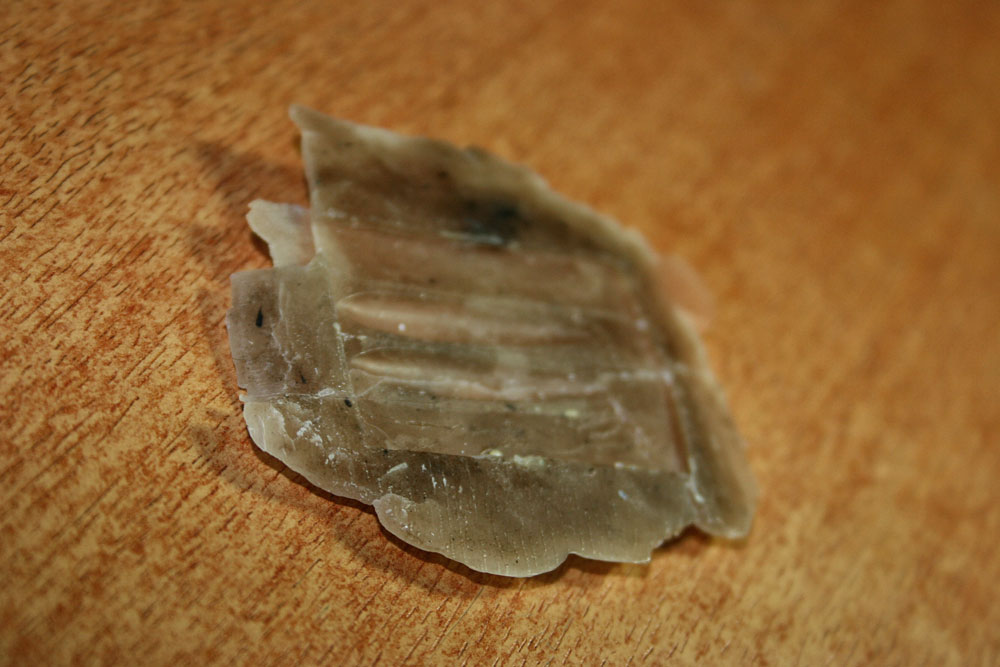 Arşiv görseli