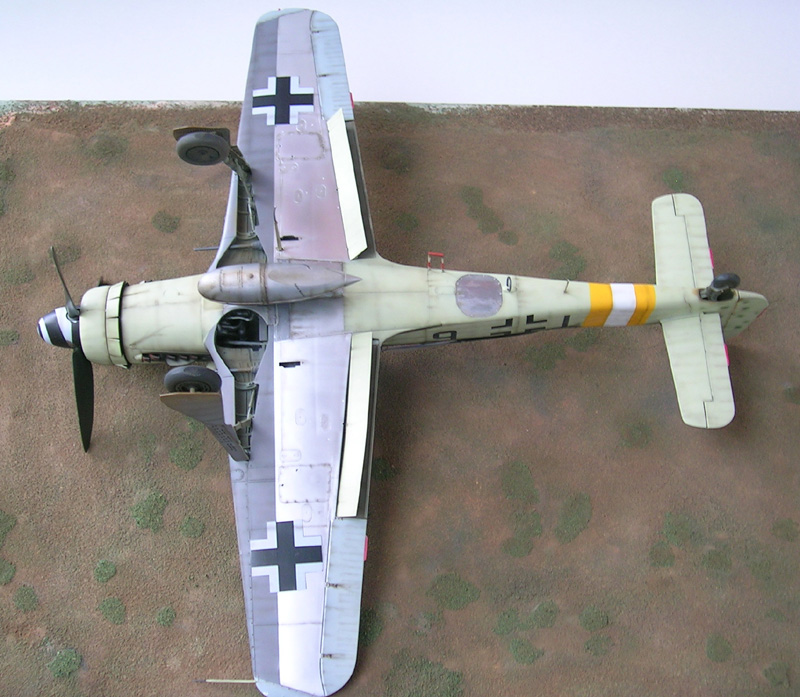 Fw 190D-9 Revell / Hasegawa 1/32 — 20