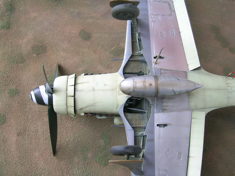Fw 190D-9 Revell / Hasegawa 1/32 — 21