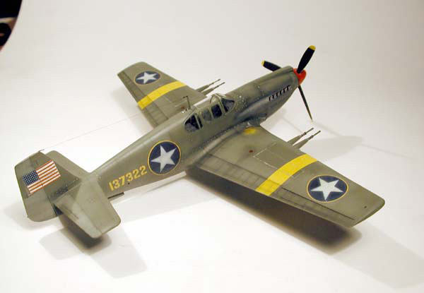 P-51A / Accurate Miniatures 1/48