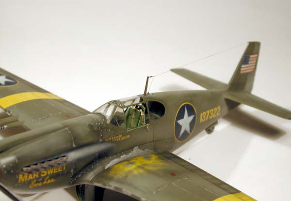 P-51A / Accurate Miniatures 1/48