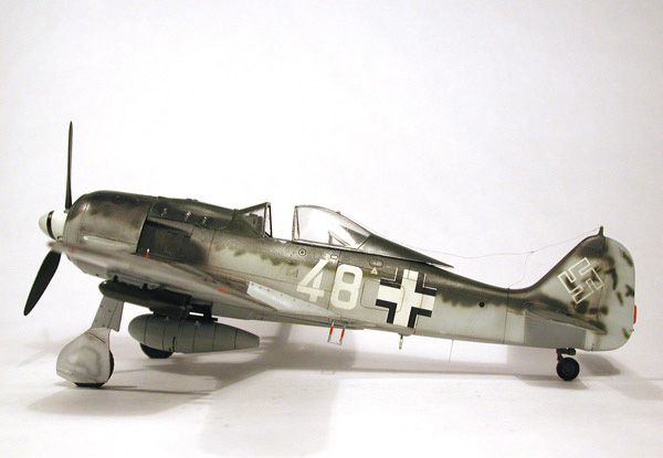 FW-190F8 / Tamiya 1/48