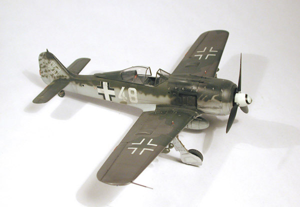 FW-190F8 / Tamiya 1/48