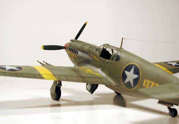 P-51A / Accurate Miniatures 1/48