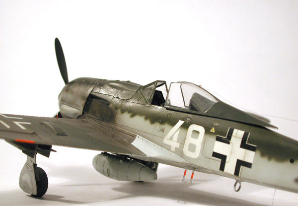 FW-190F8 / Tamiya 1/48
