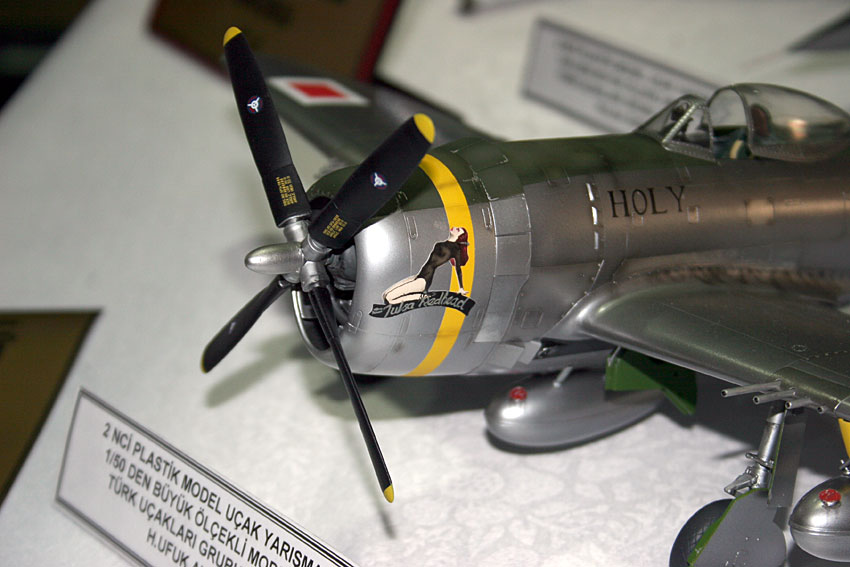 Republic P-47D RE-30 / Hasegawa 1/32