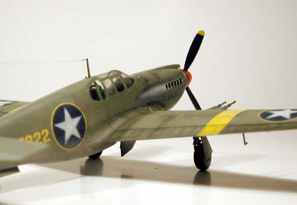 P-51A / Accurate Miniatures 1/48