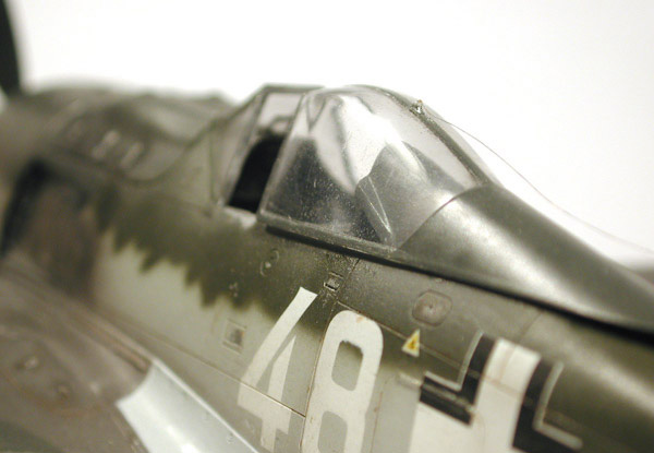 FW-190F8 / Tamiya 1/48