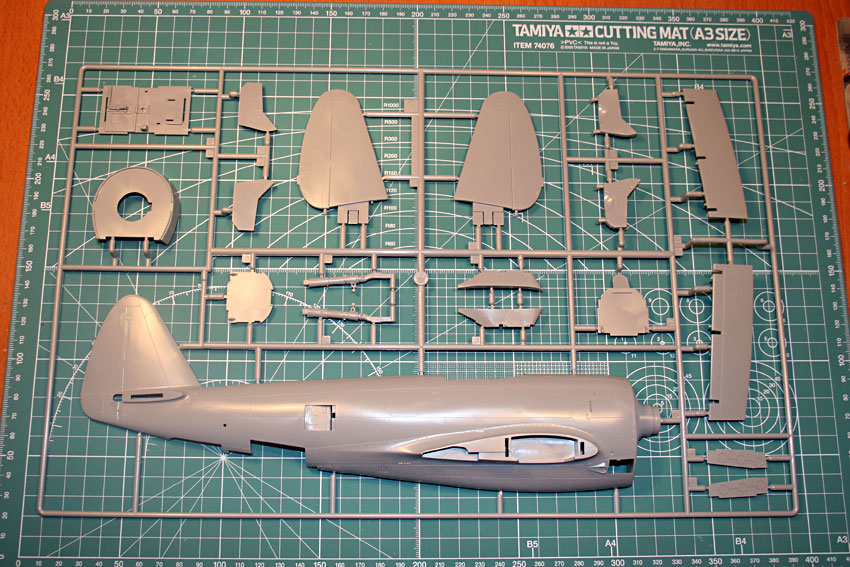 Republic P-47D RE-30 / Hasegawa 1/32