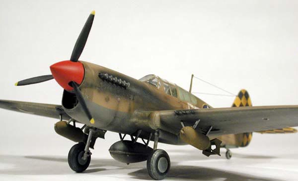Curtiss P-40F Warhawk / AMT-ERTL 1/48