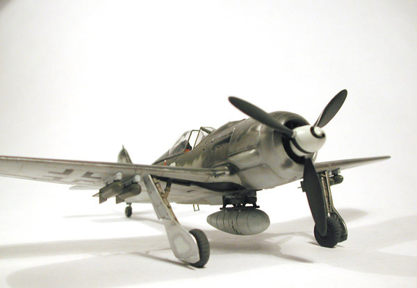 FW-190F8 / Tamiya 1/48
