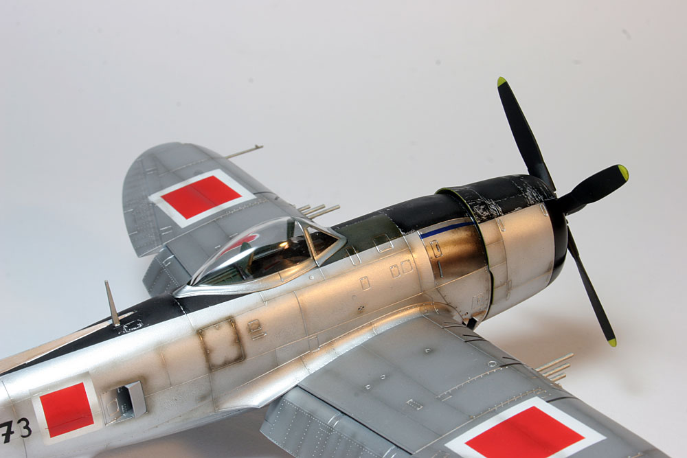 Republic P-47D RE-30 "FT-73"/ Tamiya 1/48