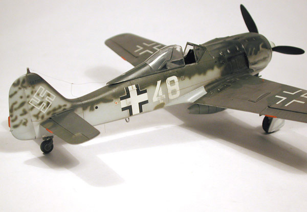 FW-190F8 / Tamiya 1/48