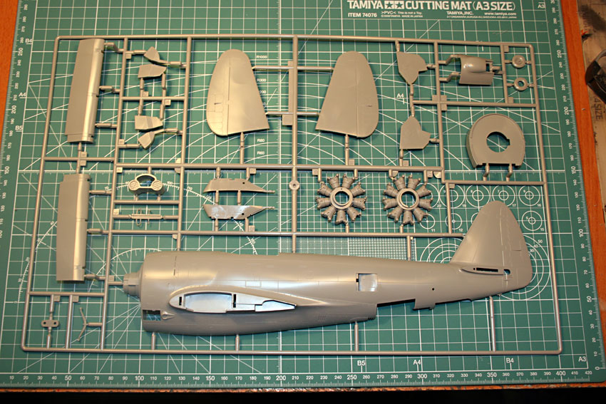 Republic P-47D RE-30 / Hasegawa 1/32