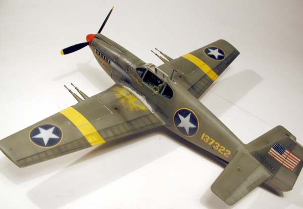 P-51A / Accurate Miniatures 1/48