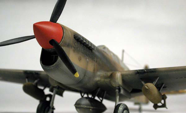 Curtiss P-40F Warhawk / AMT-ERTL 1/48